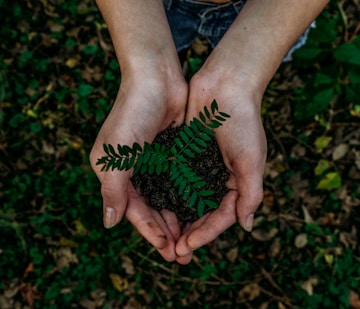 Eco-Friendly Packaging