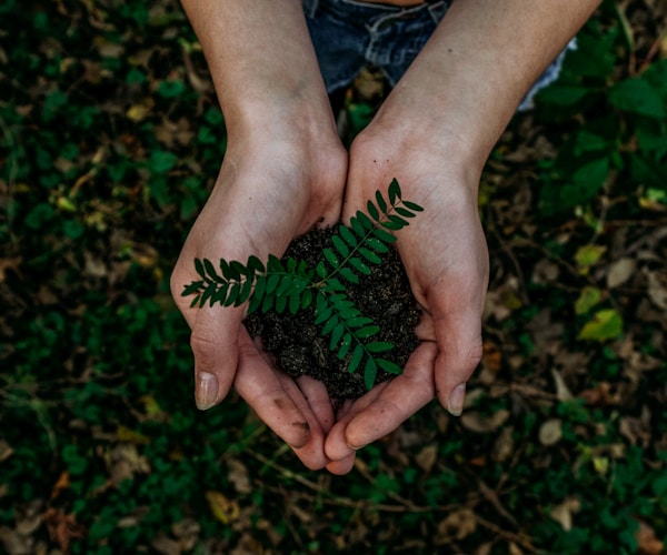 Eco-Friendly Packaging